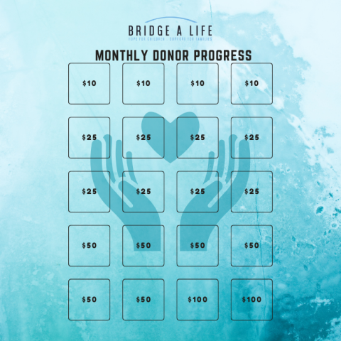 Monthly Donor Progress 2